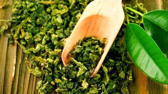 Зеленый чай - польза для организма