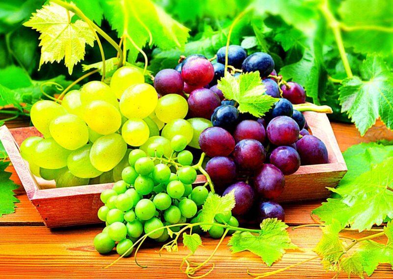 Ампелотерапия - лечение виноградом.